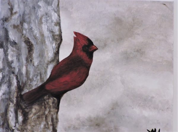Cardinal by Wendy Keith 1