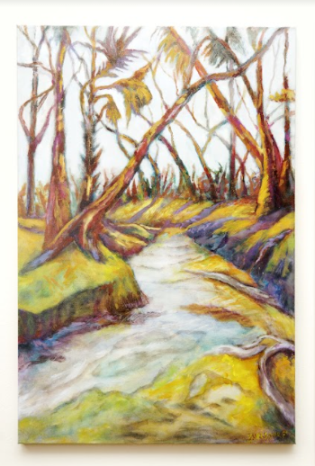 The Little Econ River, Orlando by Virginia Zuelsdorf 1