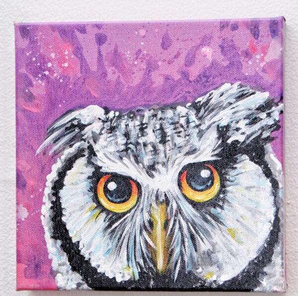 So White Faced Owl by Nightowl 1