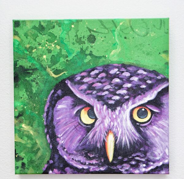 Northern Hawk Owl by Nightowl 1