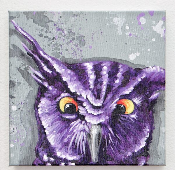 West Screech Owl by Nightowl 1