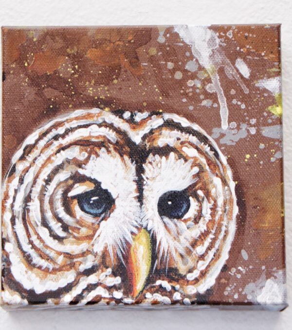 Barred Owl by Nightowl 1