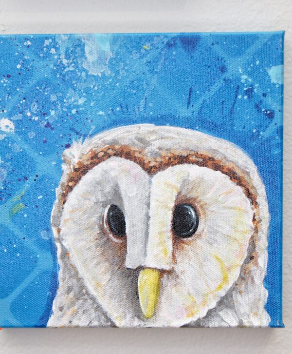 Barn Owl by Nightowl 1