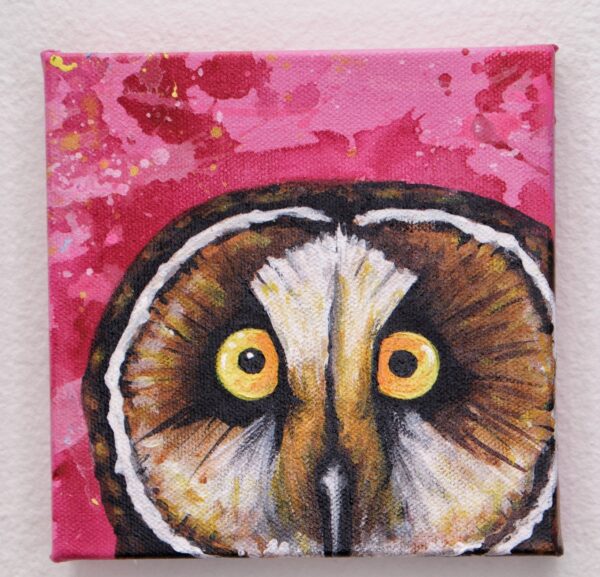 Short Eared Owl by Nightowl 1