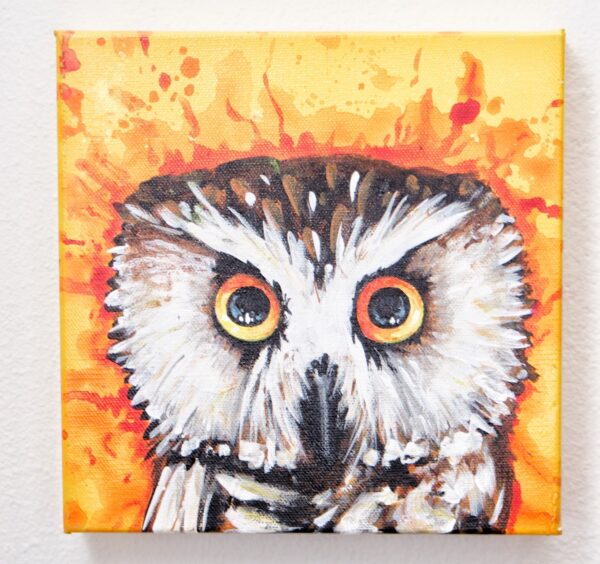 Boreal Owl by Nightowl 1