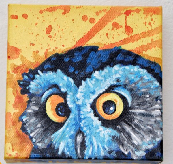 Screech Owl by Nightowl 1