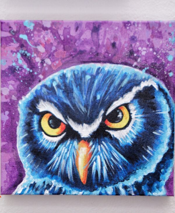 Barking Owl by Nightowl 1