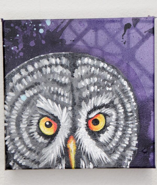 Great Grey Owl by Nightowl 1